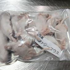 国産冷凍ファジーマウス(10匹入)